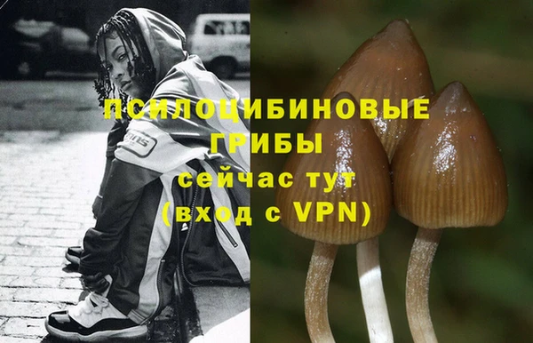 каннабис Богородск
