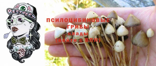 гидропоника Богородицк