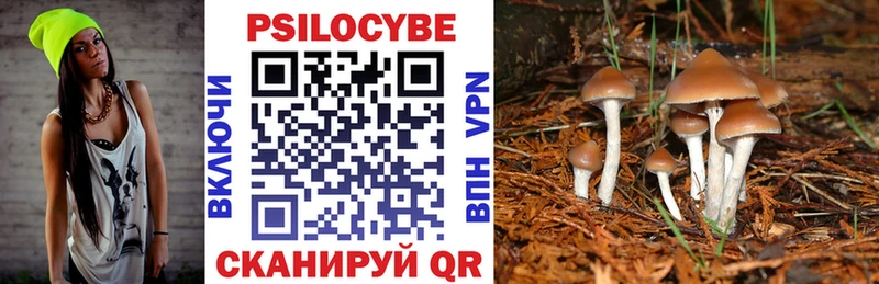 Галлюциногенные грибы ЛСД  Кореновск 